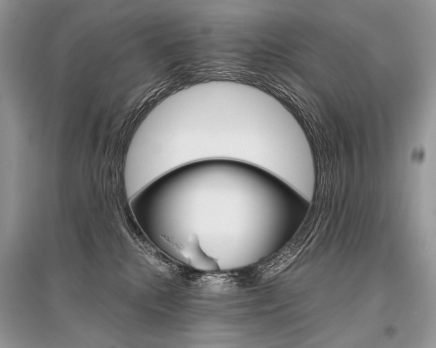 X0000096480280200801241154