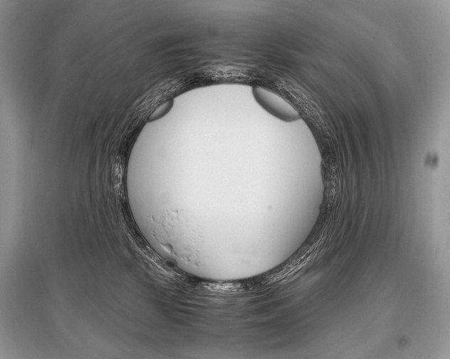 X0000096480281200801241154