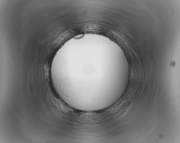 X0000096480282200801241154