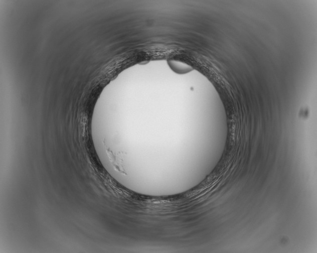 X0000096480283200801241154