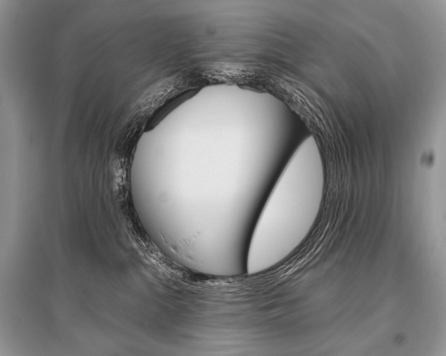 X0000096480284200801241154