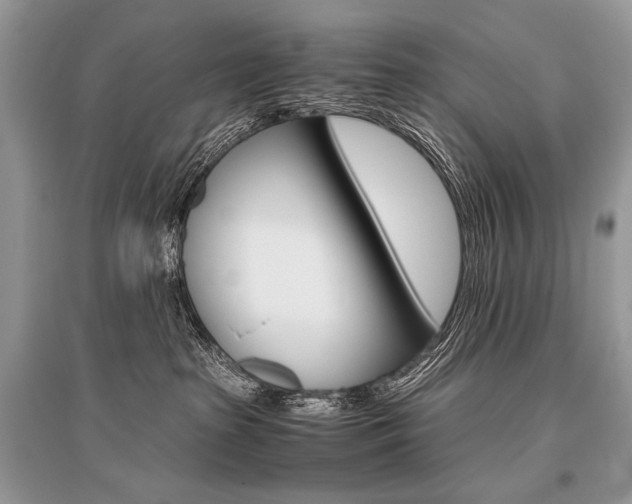 X0000096480285200801241154