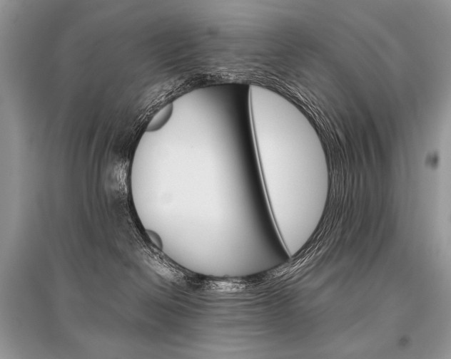 X0000096480286200801241154