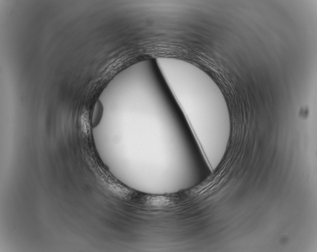X0000096480287200801241154