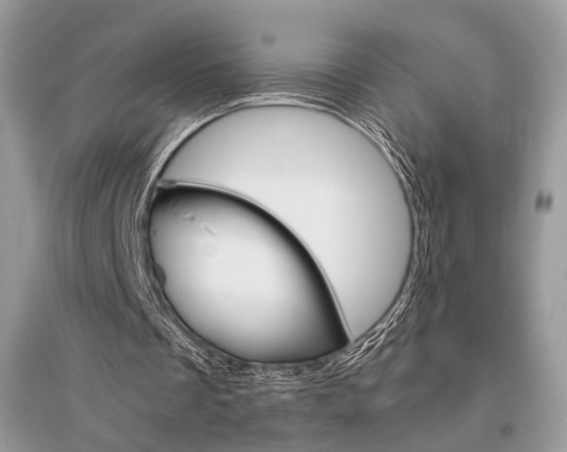 X0000096480289200801241153