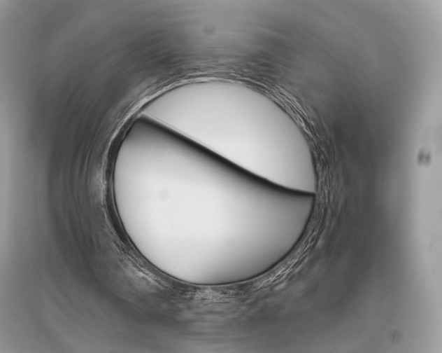 X0000096480290200801241153