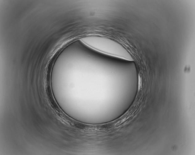 X0000096480291200801241153