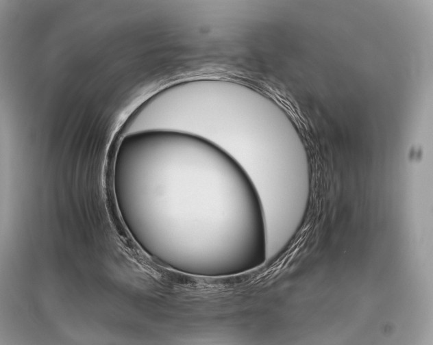 X0000096480292200801241153