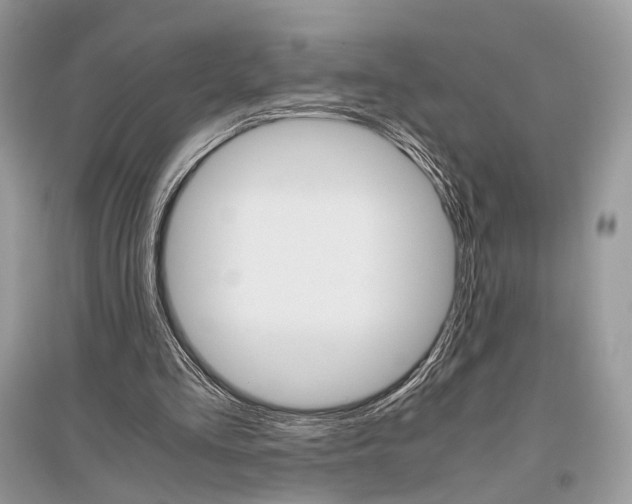 X0000096480293200801241153