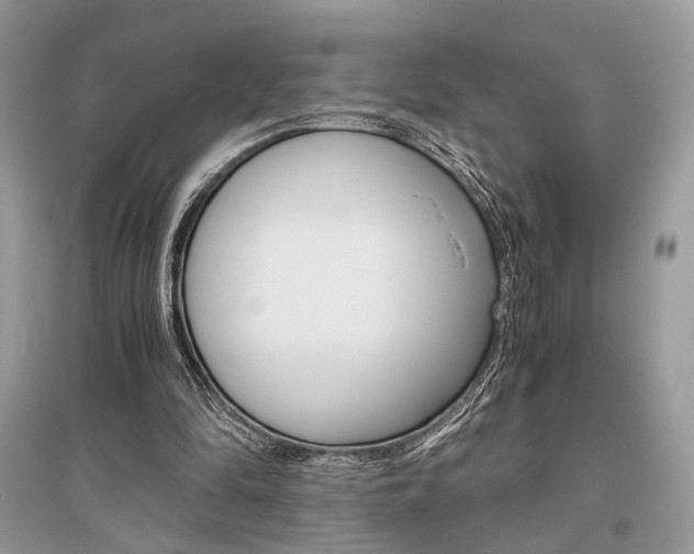 X0000096480294200801241153