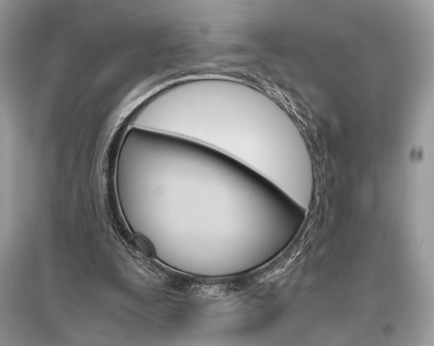 X0000096480295200801241153