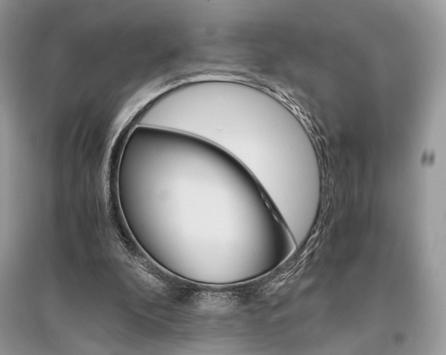 X0000096480296200801241153