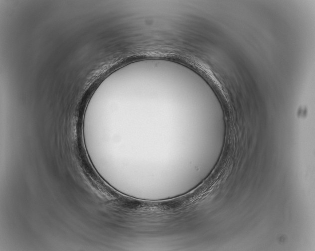 X0000096480299200801241153