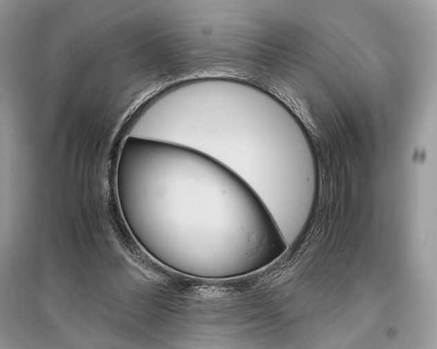 X0000096480300200801241153