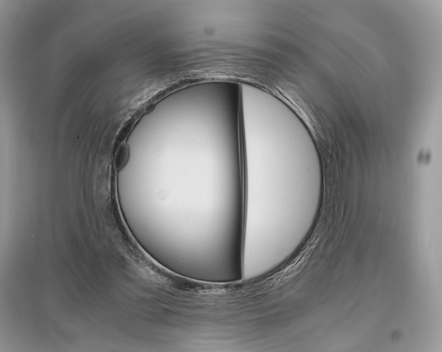 X0000096480301200801241153