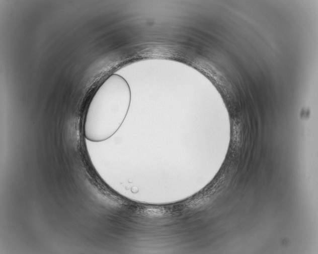 X0000096480302200801241153