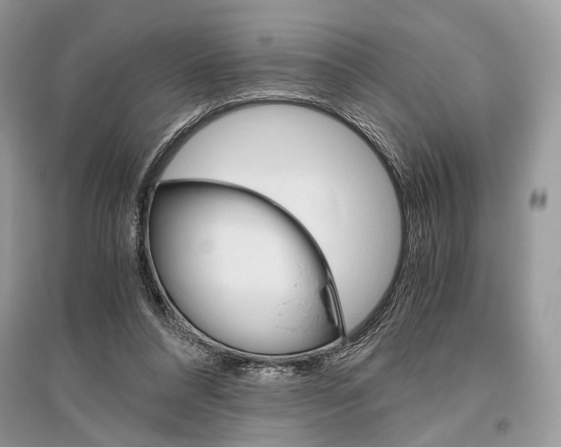 X0000096480304200801241153