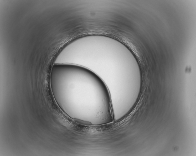 X0000096480305200801241153