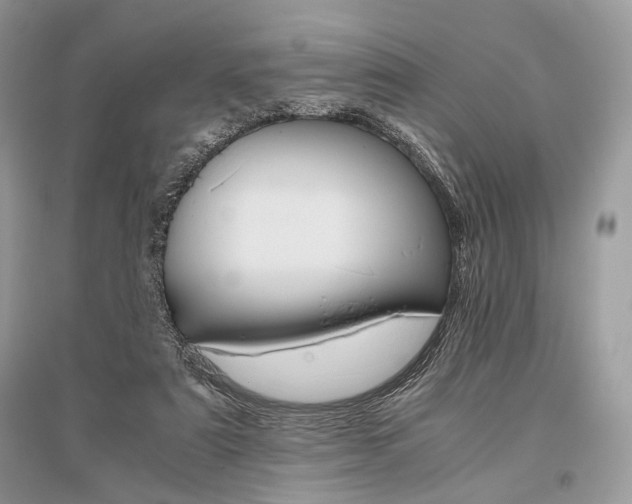 X0000096480307200801241153
