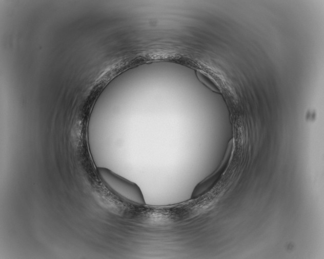 X0000096480308200801241153