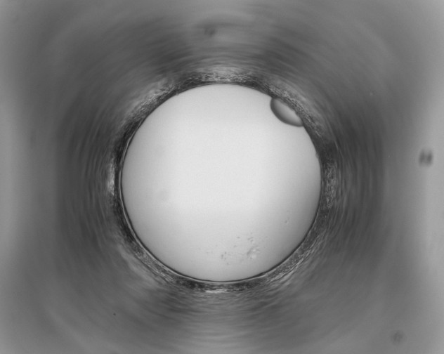 X0000096480310200801241153