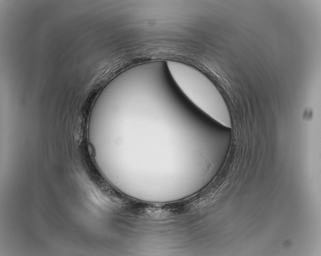 X0000096480311200801241153