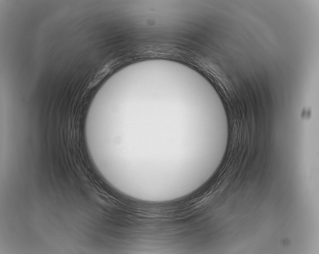 X0000096480312200801241153