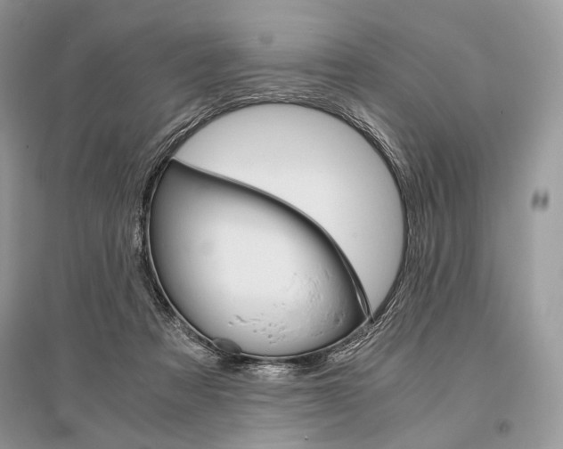 X0000096480313200801241153