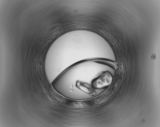X0000096480316200801241153