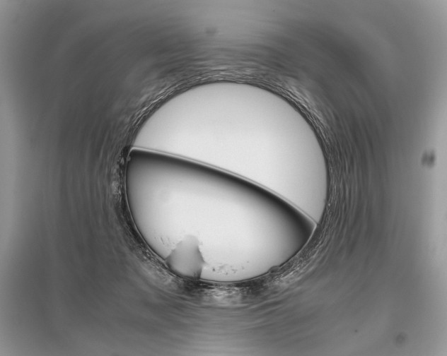 X0000096480317200801241153