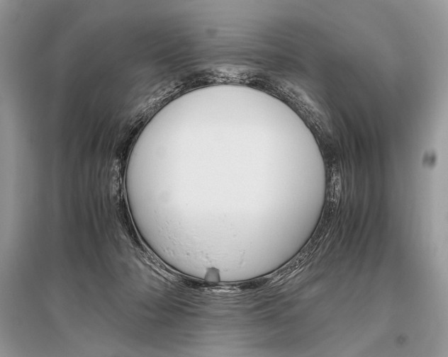 X0000096480318200801241153