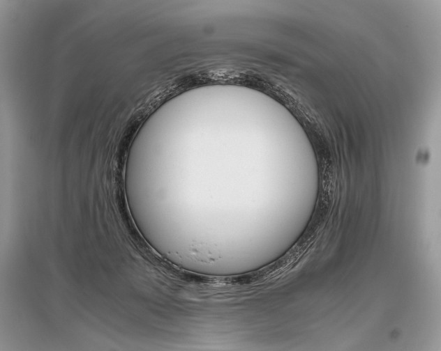 X0000096480319200801241153