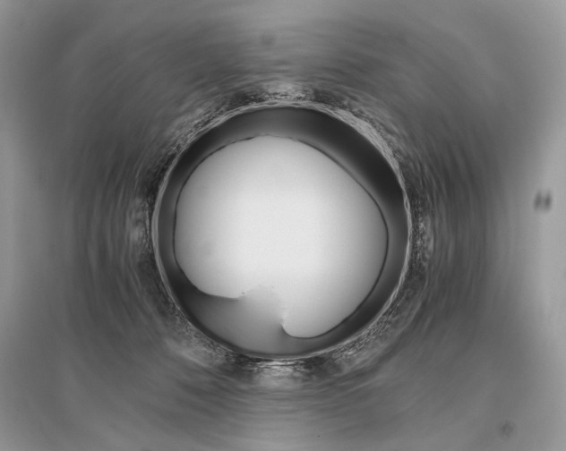X0000096480320200801241153