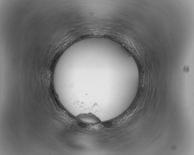 X0000096480321200801241153