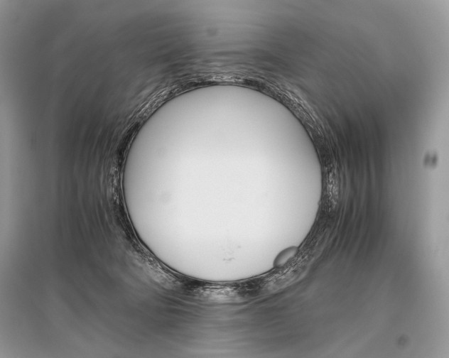 X0000096480322200801241153