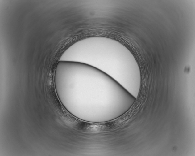 X0000096480323200801241153