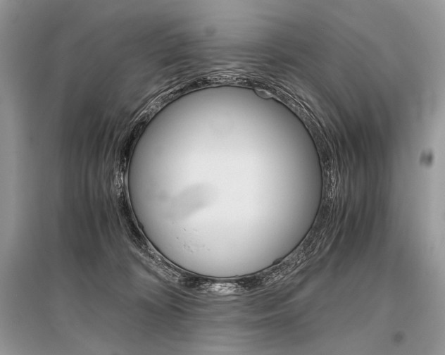 X0000096480324200801241153
