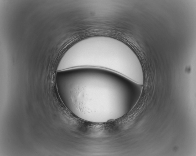 X0000096480325200801241153