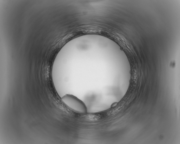 X0000096480326200801241153