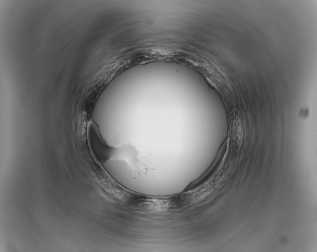 X0000096480328200801241153