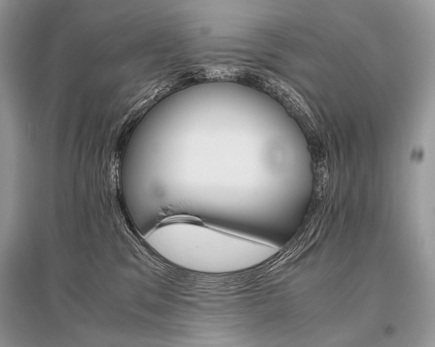 X0000096480329200801241153