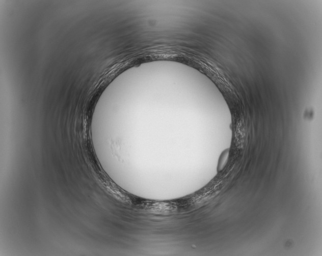 X0000096480330200801241153