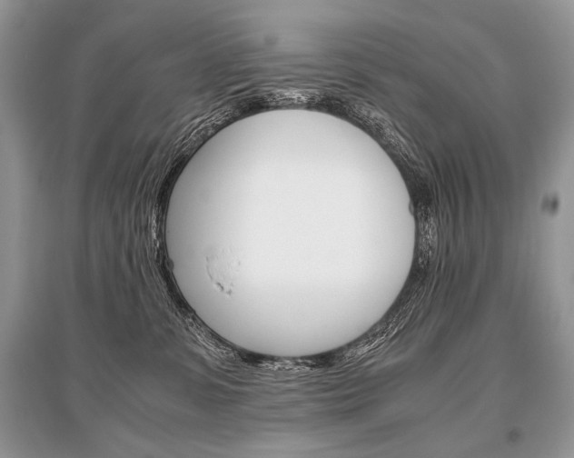 X0000096480331200801241153