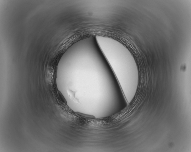 X0000096480332200801241153