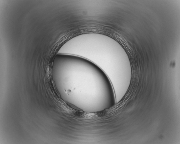 X0000096480333200801241153