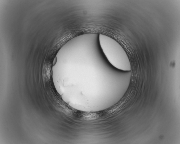 X0000096480334200801241153
