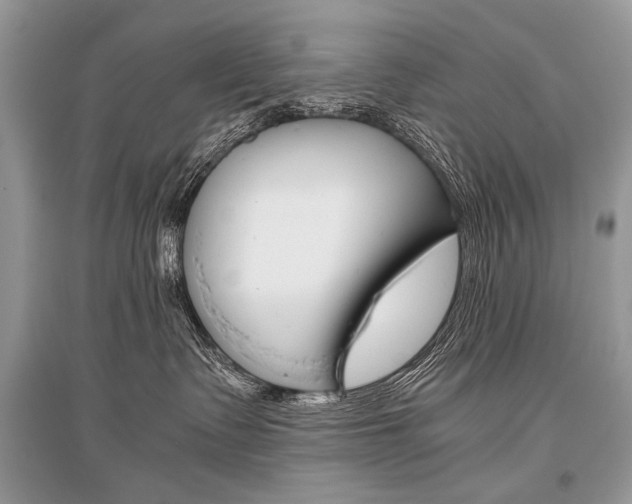 X0000096480335200801241153