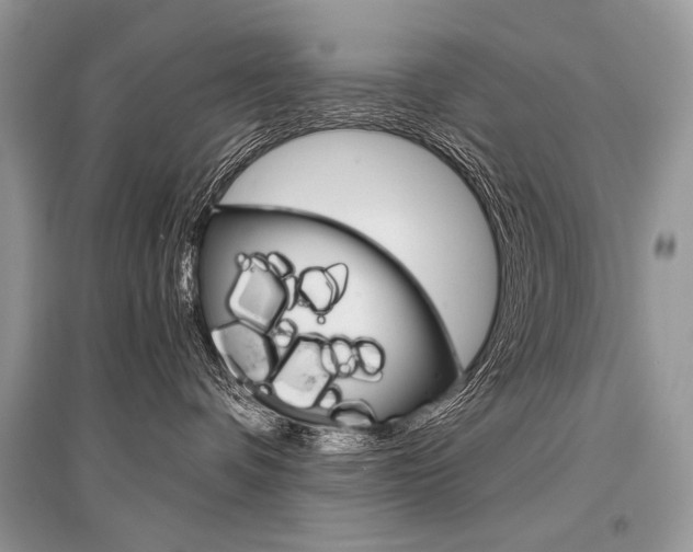 X0000096480336200801241153