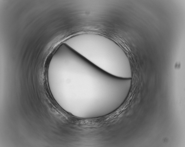 X0000096480338200801241152