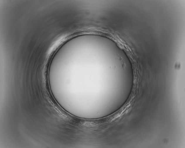 X0000096480341200801241152